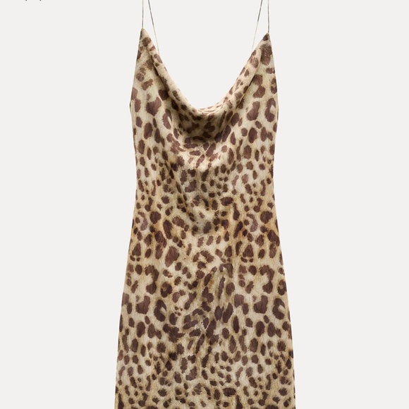 NWOT Zara Printed Tulle Dress - Picture 1 of 3